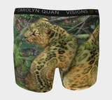 Leopards