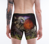 Zodiac Aries