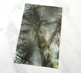 Palm Trees