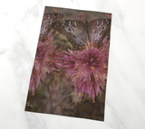 Butterfly Pink