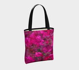 Bougainvillea