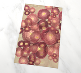 Onion