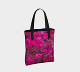 Bougainvillea