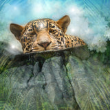 "Precious" Limited Edition Archival Print on Aluminum