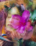 "Enraptured" Limited Edition Archival Print on Aluminum