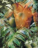 "Jungle Cowboy" Limited Edition Archival Print on Aluminum