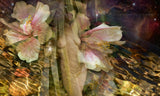 "Liquid Love" Limited Edition Archival Print on Aluminum