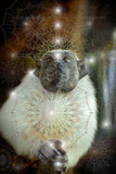 Animal Spiritual Art