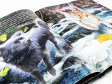 "Roshi and the Amazing Fireflies" Hard Cover Children's Book - * Bundle of 5 *