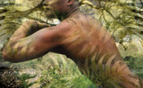 "Wild Fern" Limited Edition Archival Print on Aluminum