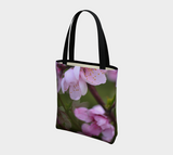 Pink Blossoms