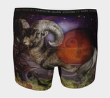 Zodiac Aries