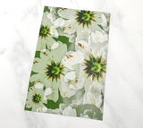 White Cloud Floral