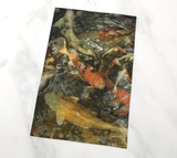 Koi Fish