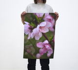 Pink Flowers