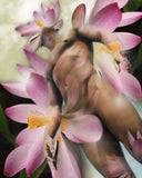 "Lotus Adonis" Limited Edition Archival Print on Aluminum