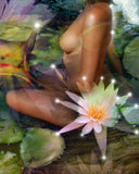 "Luscious Lily" Limited Edition Archival Print on Aluminum