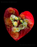 “Romance" Limited Edition Archival Print on Aluminum