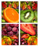 "Tutti Fruitti Grape" Limited Edition Archival Print on Aluminum