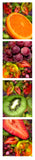 "Tutti Fruitti Kiwi" Limited Edition Archival Print on Aluminum