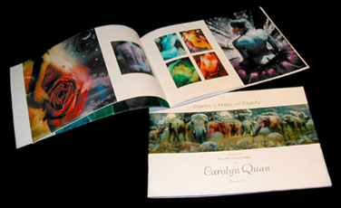 books_visions.booklet.open
