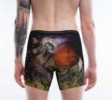 Zodiac Aries