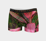 Pink Ti Plant 1