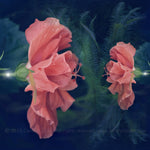 "Mother and Daughter" Limited Edition Archival Print on Aluminum