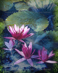 “Floating Spirits" Limited Edition Archival Print on Aluminum
