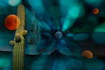"Tucson Transcendence" Limited Edition Archival Print on Aluminum