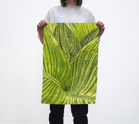 Green Leaves