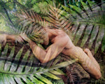 "Lush" Limited Edition Archival Print on Aluminum