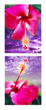 "Towards Heaven" Limited Edition Archival Print on Aluminum